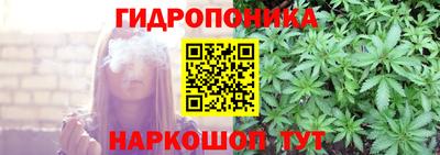 стаф Камень-на-Оби