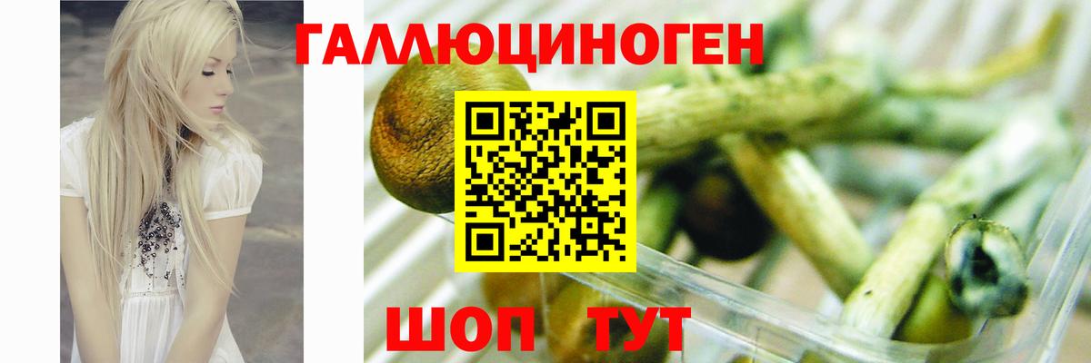 Псилоцибиновые грибы мухоморы Обь